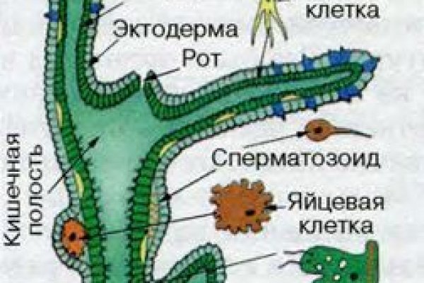 Найти ссылку на кракен