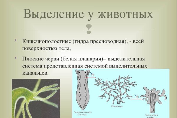 Восстановить аккаунт кракен