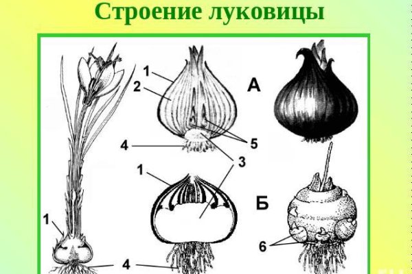 Kraken ссылка krakentor site