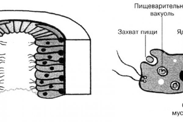 Ссылка на кракен на сегодня