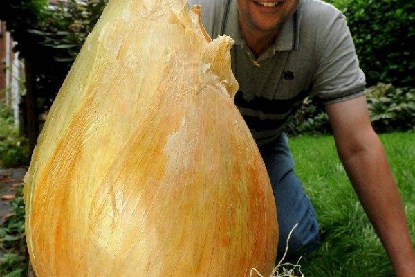Онлайн магазин наркотиков