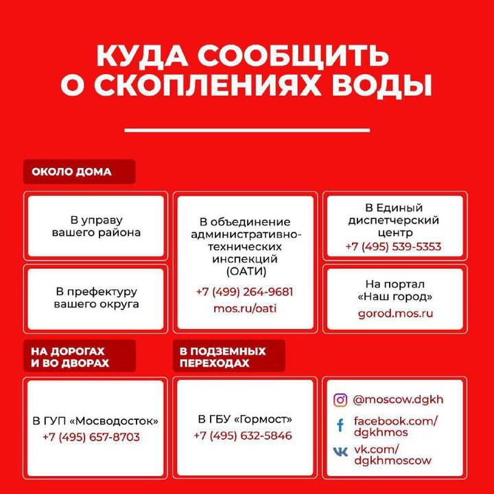 Кракен зеркало сегодня
