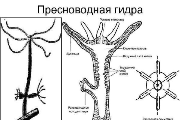 Кракен 2kr pro