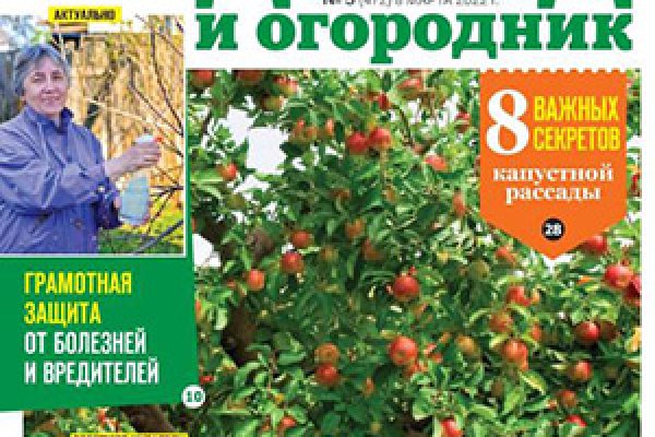 Только через тор кракен
